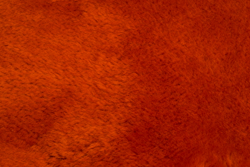 BurntOrange 1