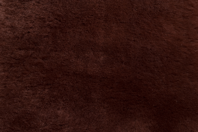Cacao 1