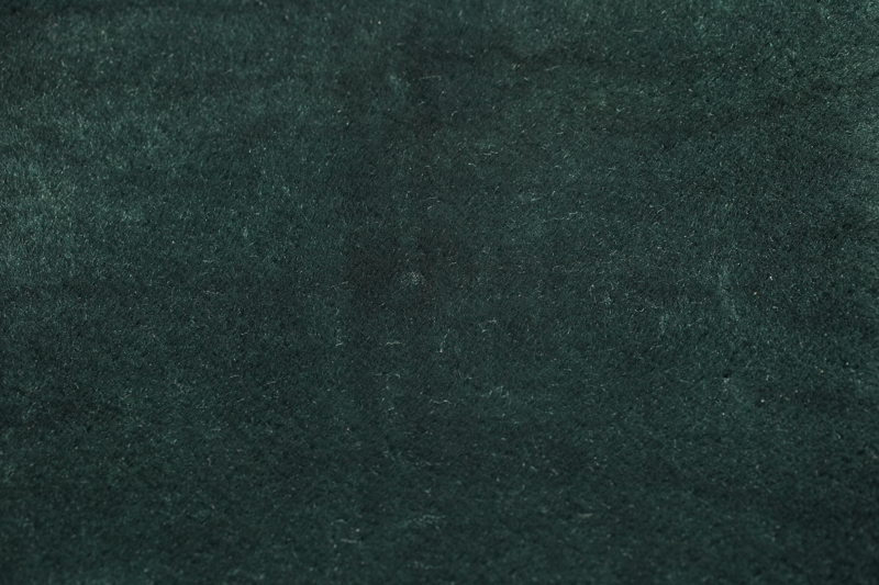 Conifer 1