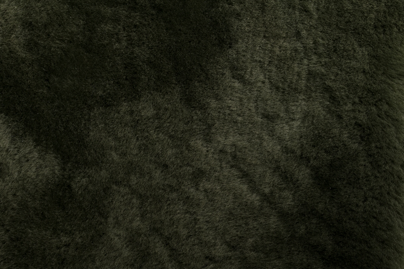 Laurel 1