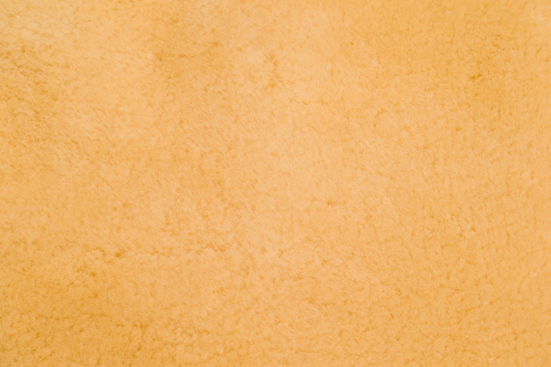 Magnolia 1