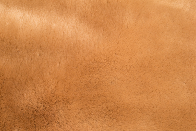 Moccasin 1