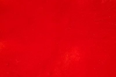 dahlia red 2 e1504100637835