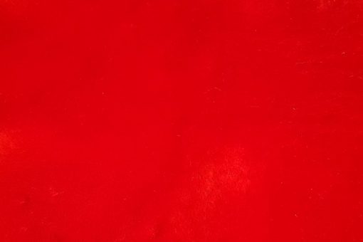 dahlia red 2 e1504100637835
