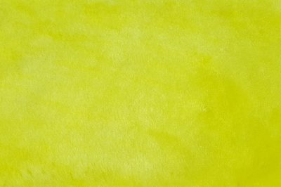 dynamic yellow